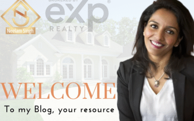 Welcome to My Blog
